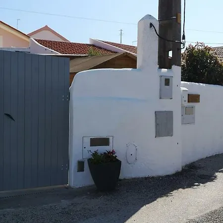 Lighthouse Butterfly Ericeira